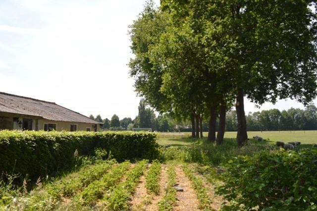Residentie De Hoek Den Dungen Esterno foto