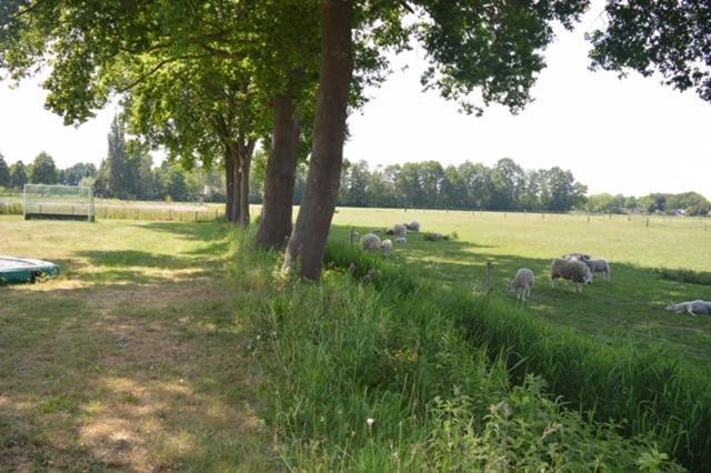 Residentie De Hoek Den Dungen Esterno foto