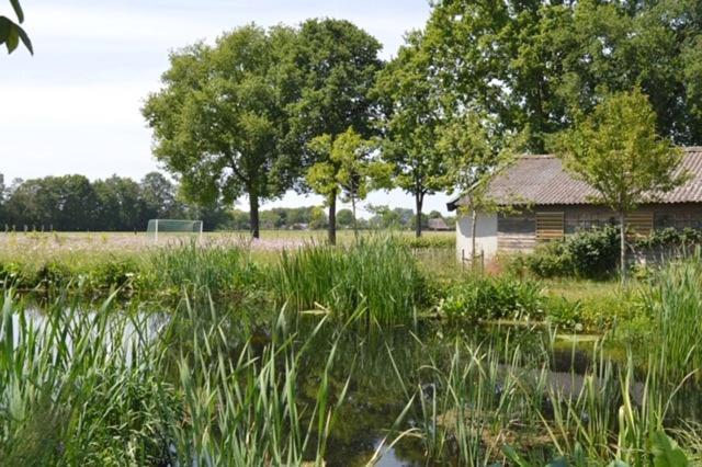 Residentie De Hoek Den Dungen Esterno foto